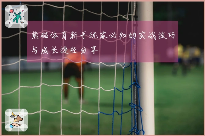 熊猫体育新手玩家必知的实战技巧与成长捷径分享