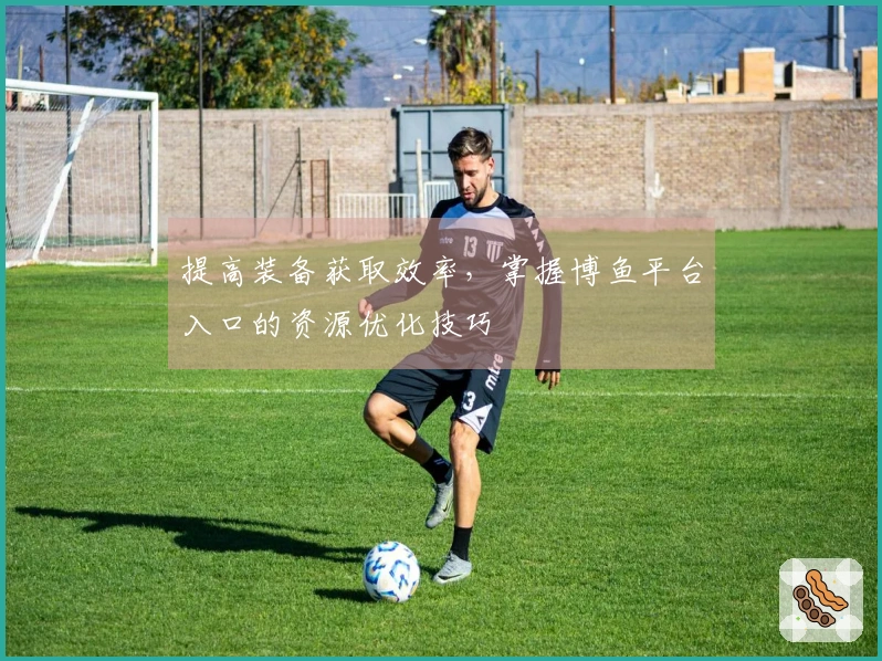 提高装备获取效率，掌握博鱼平台入口的资源优化技巧