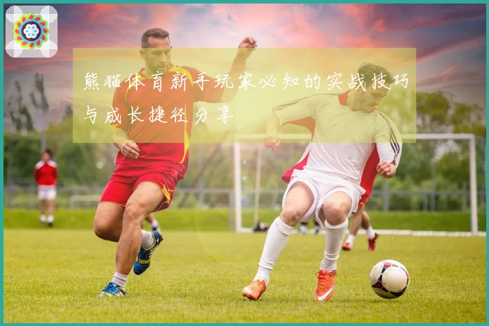 熊猫体育新手玩家必知的实战技巧与成长捷径分享